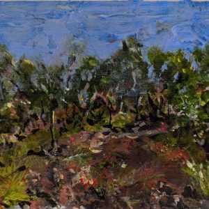 Spring Comes to the Lane Cove National Park Valley Walk by Stephen Lloyd-Jones