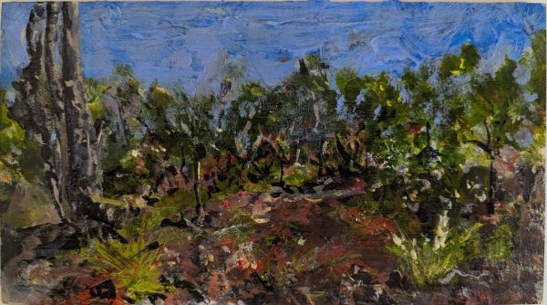 Spring Comes to the Lane Cove National Park Valley Walk by Stephen Lloyd-Jones