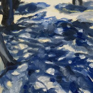 Rottnest summer by Yolande Gray