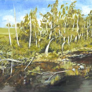 Karuah river - Riverwood Downs by Andrew Howells