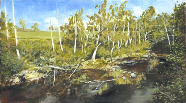 Karuah river - Riverwood Downs by Andrew Howells